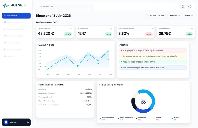 Analytics dashboard — revenue, orders and traffic sources overview